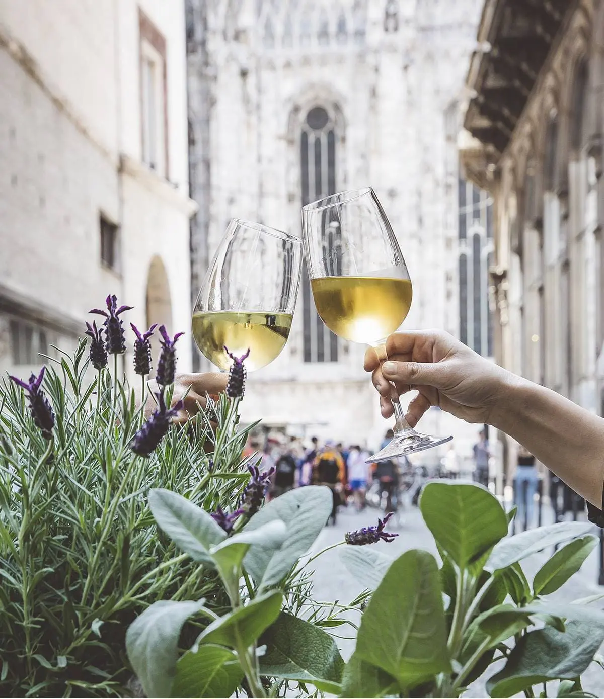 Two glasses of white wine toasting on a rooftop with the Duomo behind