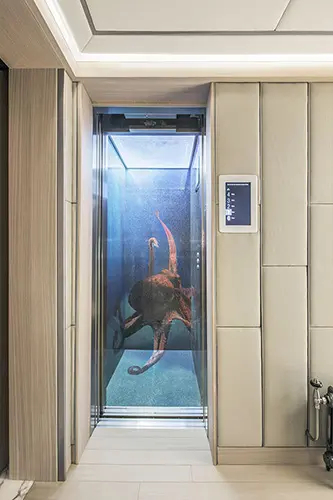 home elevator with a glass panel showing an underwater flamingo image