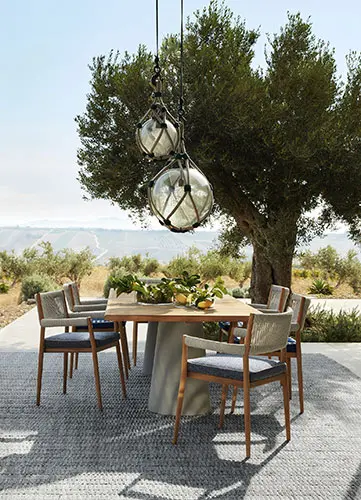 Outdoor dining table under an olive tree with hanging glass globe lights